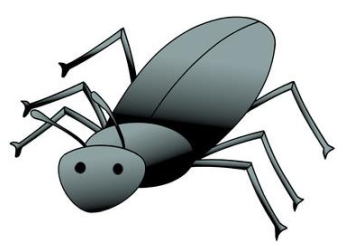 beetle – bọ cánh cứng
